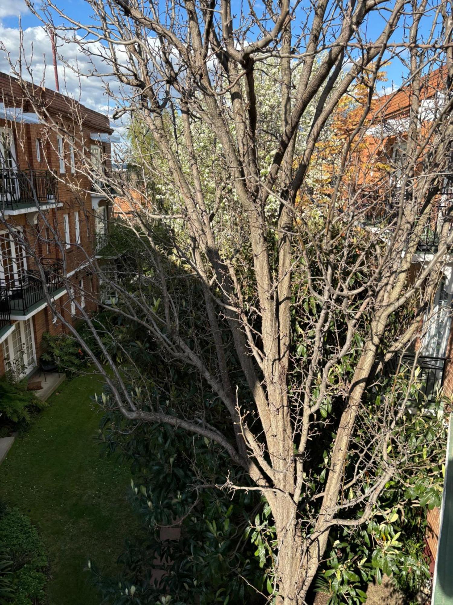 Apartment Regents Gate East Melbourne